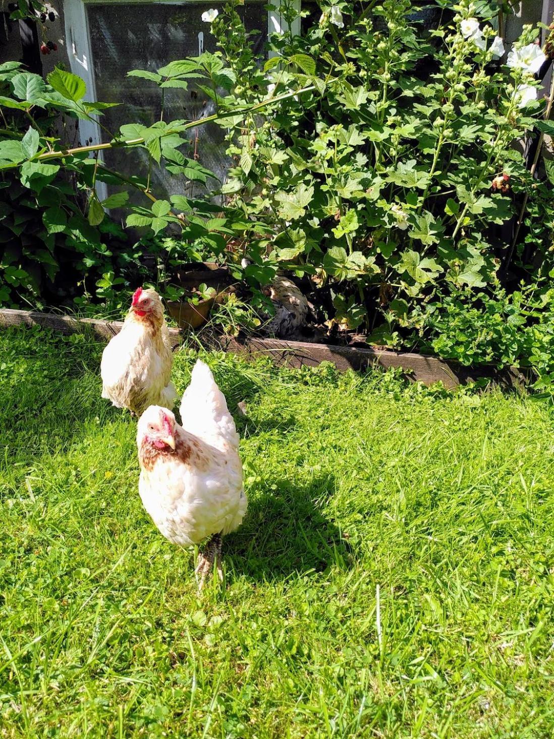 Laegenhet Naturnaera I Henan Ngoại thất bức ảnh